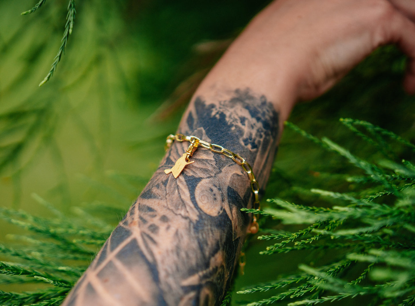 Ankerketten Armband vergoldet