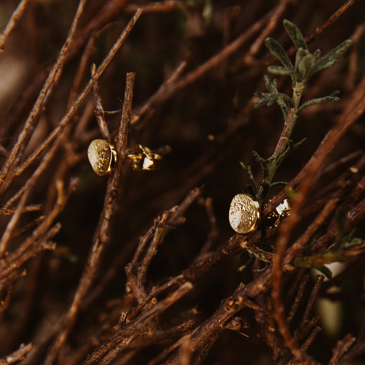 die Unrunden S vergoldet